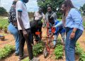 AI in Agriculture Could Boost Smallholder Productivity, But Infrastructure Gaps Remain