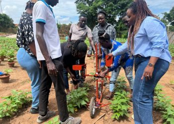 AI in Agriculture Could Boost Smallholder Productivity, But Infrastructure Gaps Remain