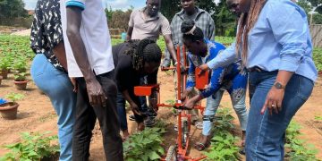 AI in Agriculture Could Boost Smallholder Productivity, But Infrastructure Gaps Remain