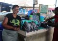 AI Early Warning System Helps Lake Victoria Fish Farmers Prevent Mass Tilapia Deaths