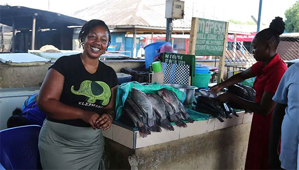 AI Early Warning System Helps Lake Victoria Fish Farmers Prevent Mass Tilapia Deaths