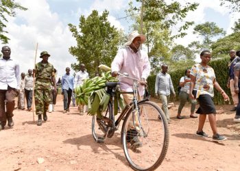 Museveni Urges Ugandans to Embrace Matooke Farming and Value Addition