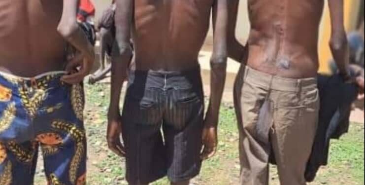 Karamojong youth leaving prison appearing malnourished angers elders