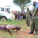 UPDF Opens 2026 Recruitment for Regular and Professional Positions