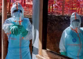 WHO Says 75 Health Workers Infected, 17 Dead in DR Congo Ebola Outbreak
