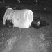 Businessman Shot Dead  After Armed Robber Steals Bag of Money