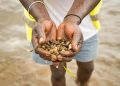 Jinja City Raises Alarm Over Bilharzia Outbreak in Lake Victoria Communities