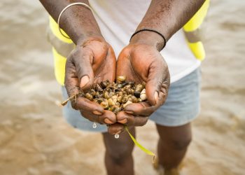 Jinja City Raises Alarm Over Bilharzia Outbreak in Lake Victoria Communities