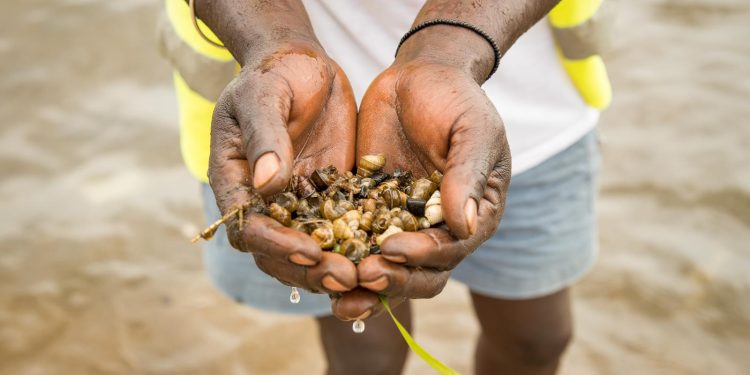 Jinja City Raises Alarm Over Bilharzia Outbreak in Lake Victoria Communities