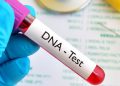 Women Leaders Call for Social Approach to DNA Paternity Testing Debate