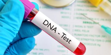 Women Leaders Call for Social Approach to DNA Paternity Testing Debate