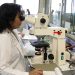 Parliament Calls for Regulatory Framework on DNA Tests to Address Family Disruption