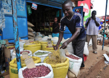 Ugandans Grapple with Soaring Living Costs Amid Food and Fuel Price Surge