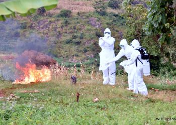Uganda Health Ministry Denies Knowledge of Reported Marburg Case