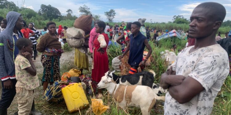 Over 900 Congolese Refugees Disappear in Bundibugyo