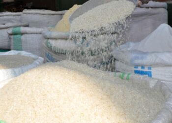 High Arsenic Levels Found in Rice Sold in Kampala, Raising Health Concerns