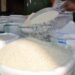 High Arsenic Levels Found in Rice Sold in Kampala, Raising Health Concerns