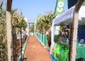 UDF Sets Up Model Parish Farms at Jinja Show Grounds to Support PDM Beneficiaries